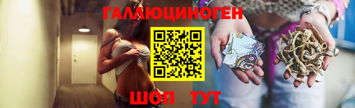 Анжеро-Судженск  Псилоцибиновые грибы прущие грибы  Вход с VPN 